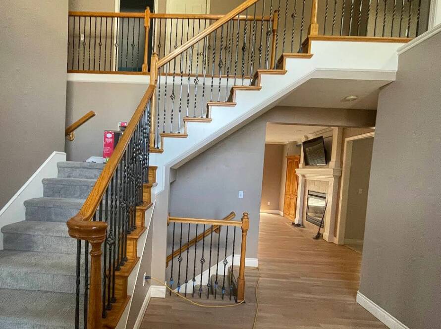 How to Choose the Right Stain for Your Floors