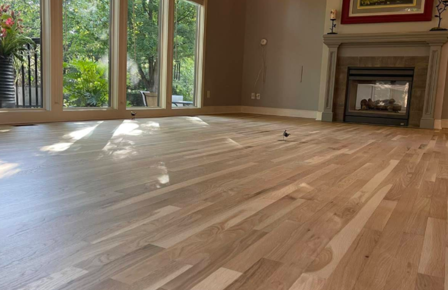 Dustless Floor Sanding Explained What Homeowners Should Know